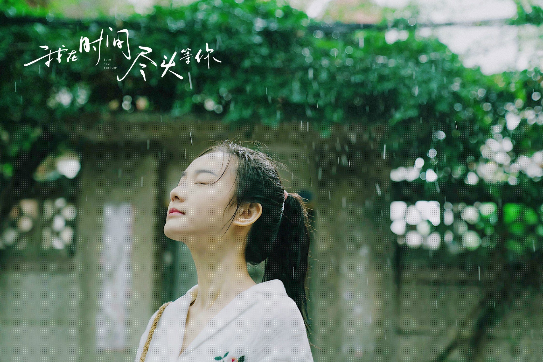 开云体育入口-新星切特独舞，猛龙轻取独行侠，当关键先生遇上内线奇兵