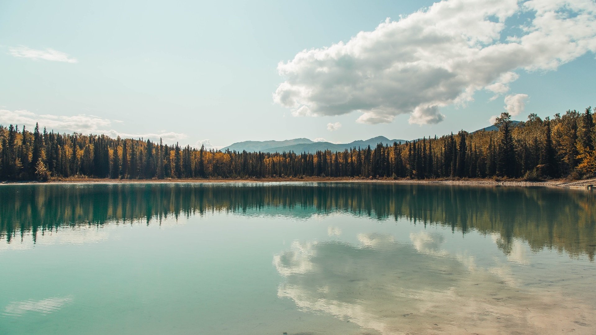 替补奇兵格纳布里,登场54秒那一刀,斩断了所有悬念