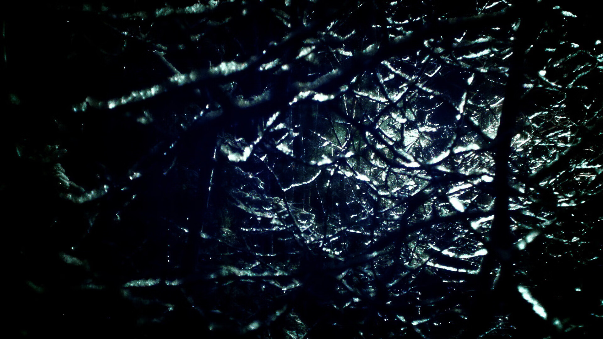 德甲争冠战之夜，阿劳霍狂飙，将对手防线绞为碎片