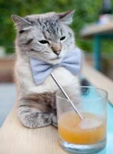 跨界巅峰对决，吉林队硬撼NBA火箭，马克西数据全面爆炸引爆篮球之夜