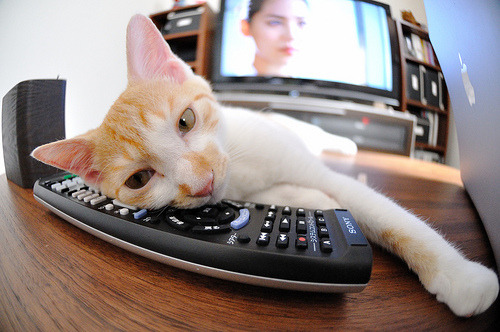 跨越篮球的疆界,当克莱的投篮弧线划破戈壁风沙