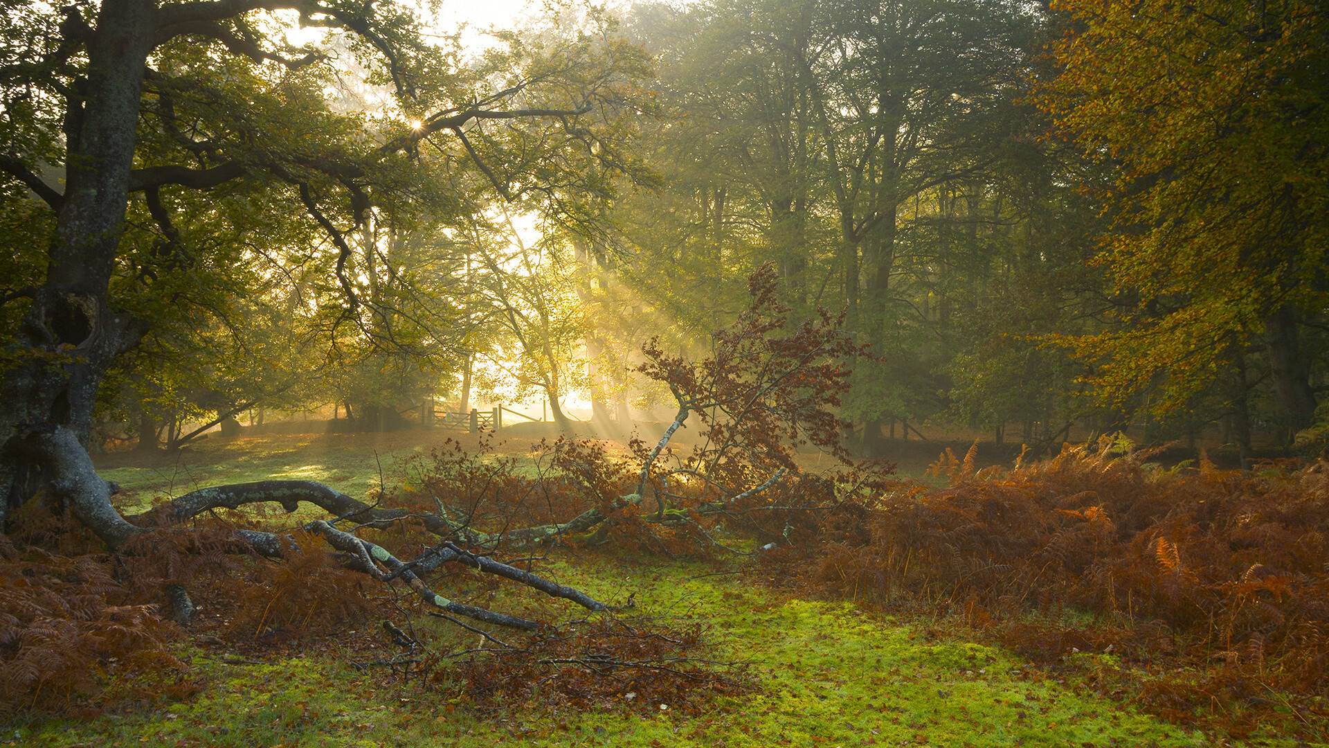 开云体育平台APP-世界排名争夺战焦点战，英格兰防守锁死波兰，排名稳固攀升