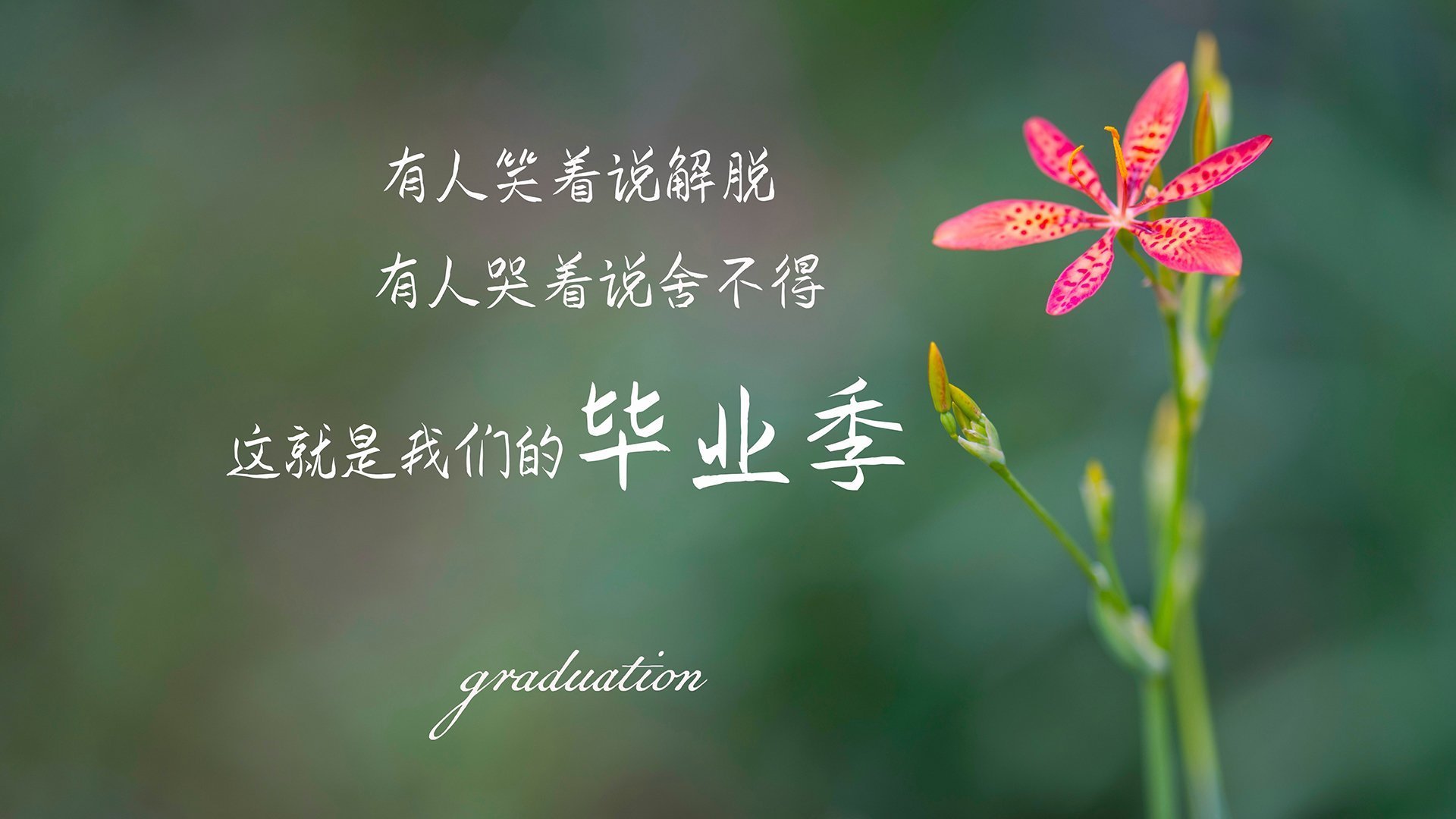 京多安独造三球导演逆转好戏，哥斯达黎加团队风暴一波带走阿森纳