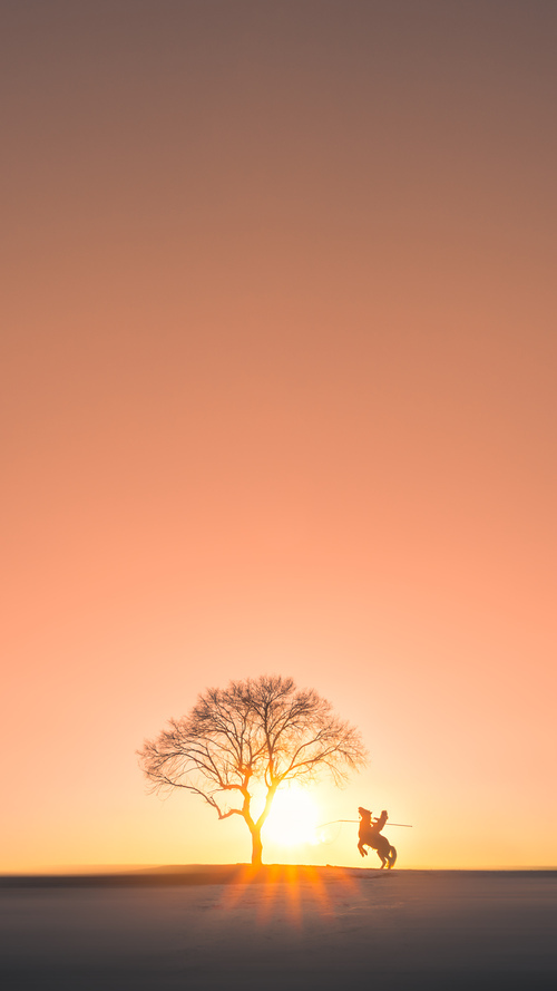 西亚卡姆狂揽39+16打崩广厦防线，尼克斯45分大胜展现恐怖统治力