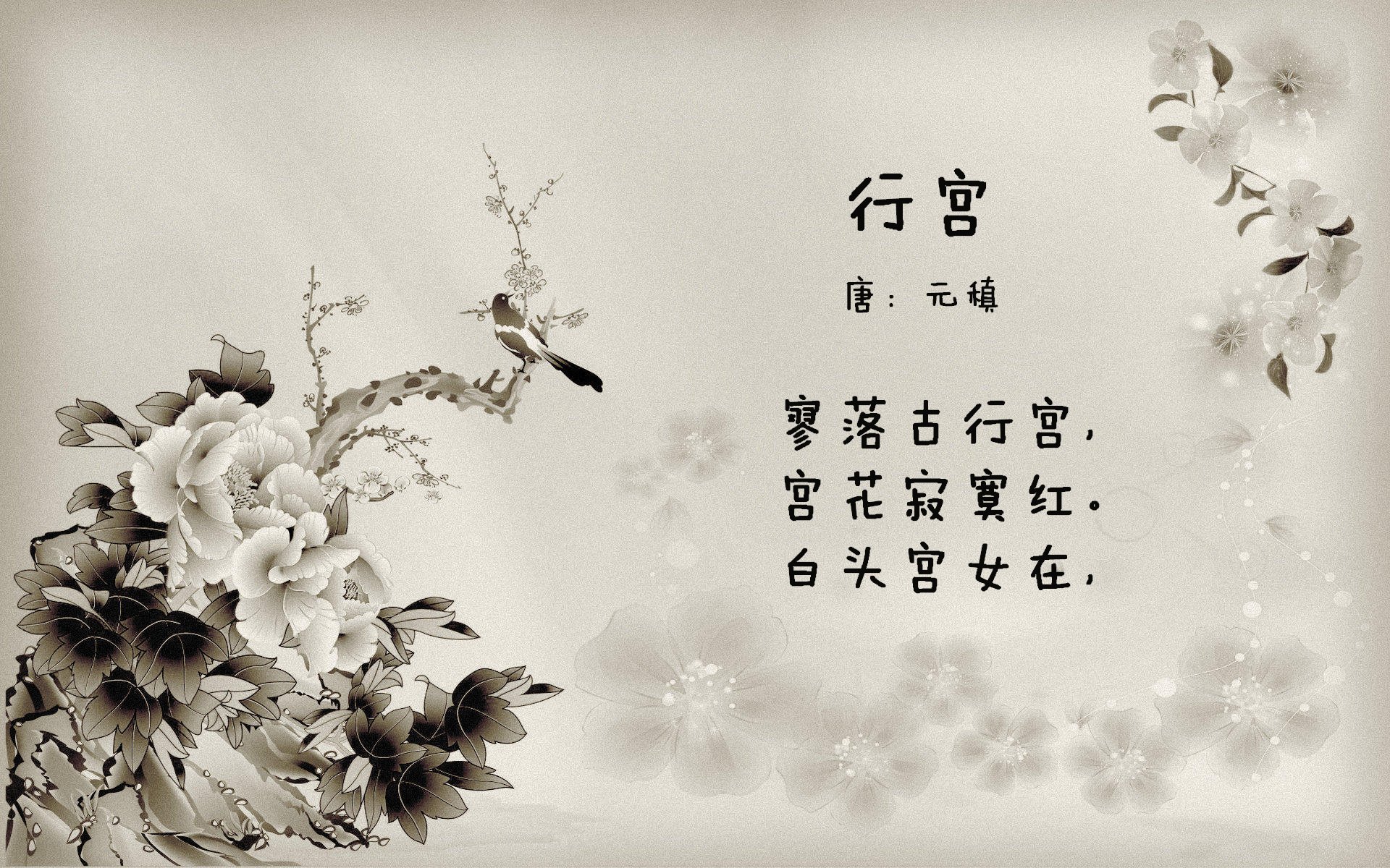 开云体育平台APP-霍勒迪攻防一体铸就铁幕，太阳队跨界巅峰战掀翻深圳男篮