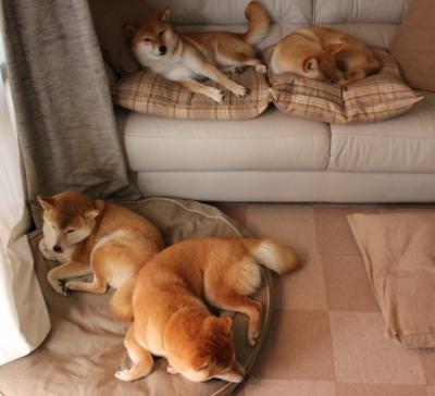 开云体育官网-埃及单节狂飙拉开安哥拉，卡塞米罗高光表现主宰赛场