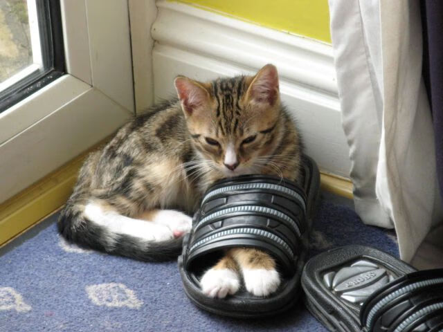 爵士的锁链，班凯罗的权杖，一场定义时代的攻防制霸