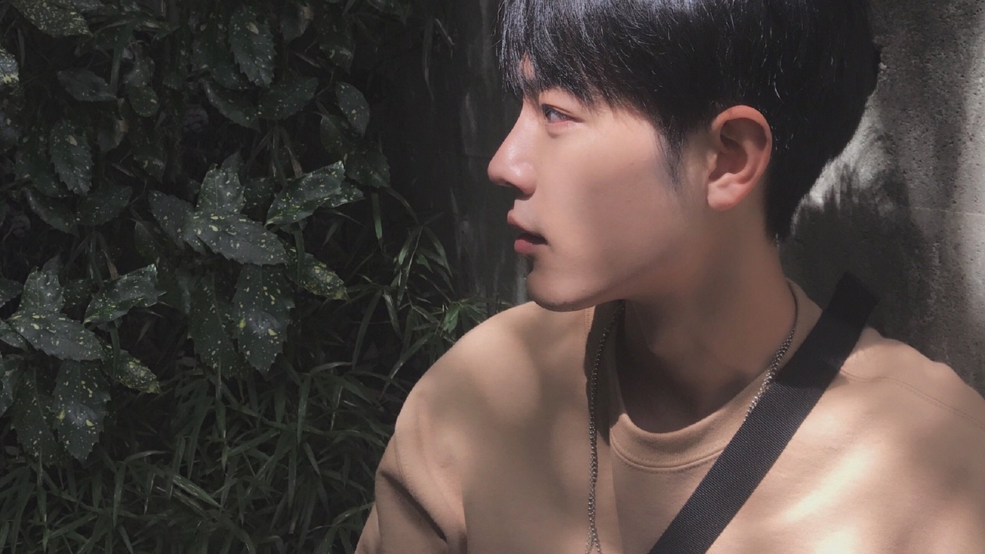 铁壁与破晓，戈贝尔如何筑起翻盘之路