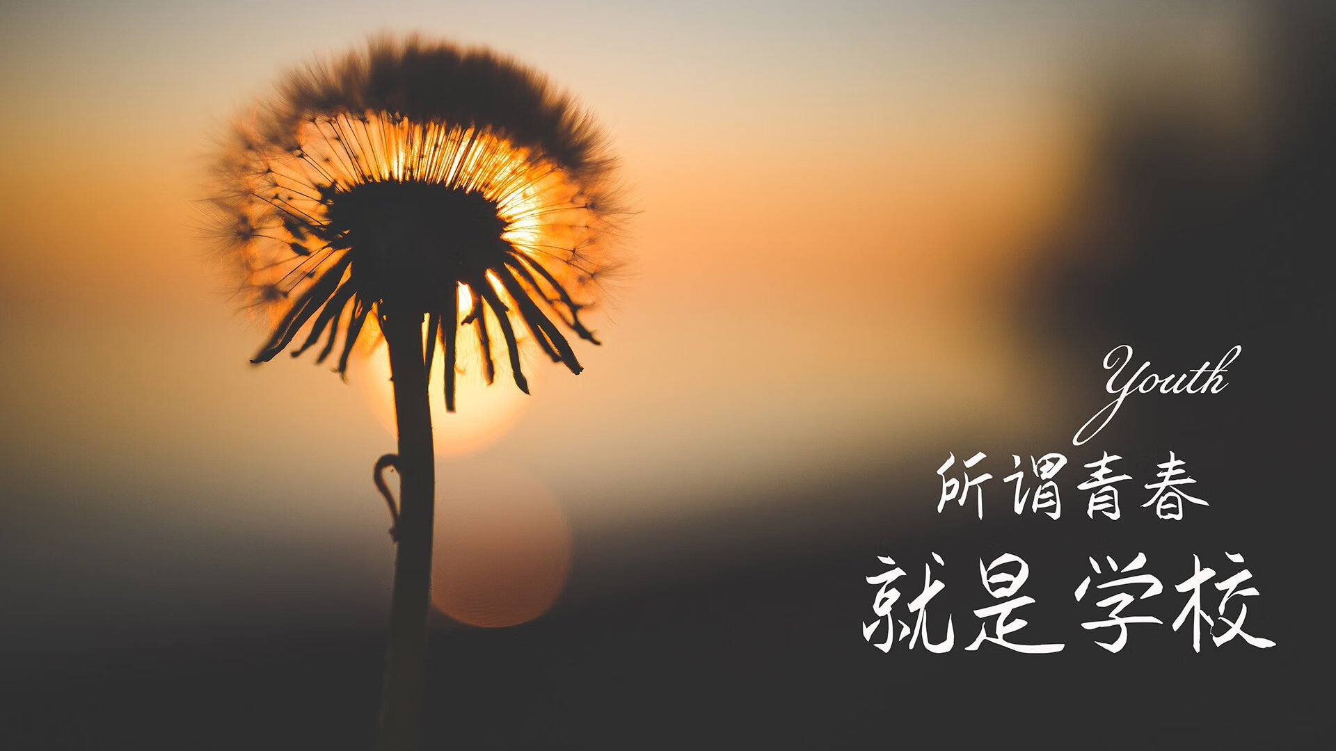 班凯罗一舞定乾坤,广东主场稳如泰山力克爵士