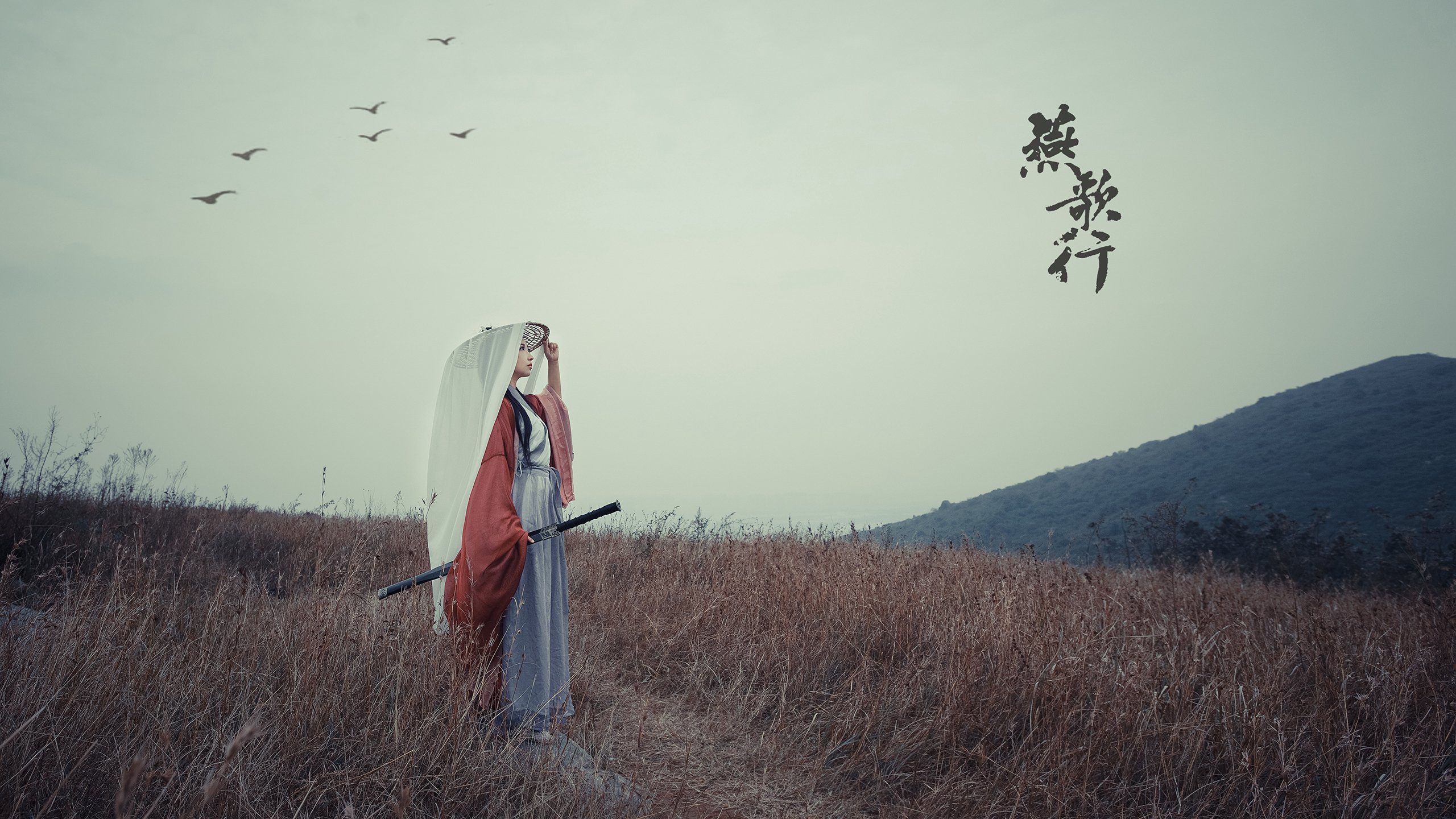 开云体育入口-当哈利伯顿的魔法席卷工体，一场跨次元的篮球对话