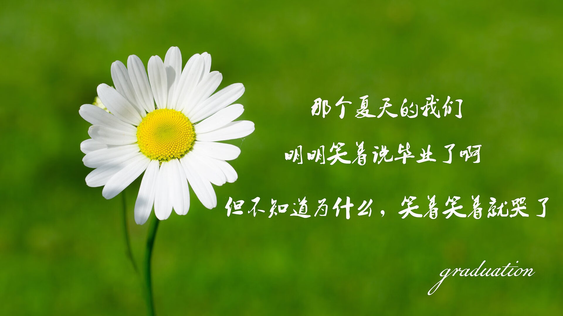 血色探戈，谁能狂舞？2026世界杯C组宿命对决，智利冰与火掀翻潘帕斯，B费独舞决定乾坤