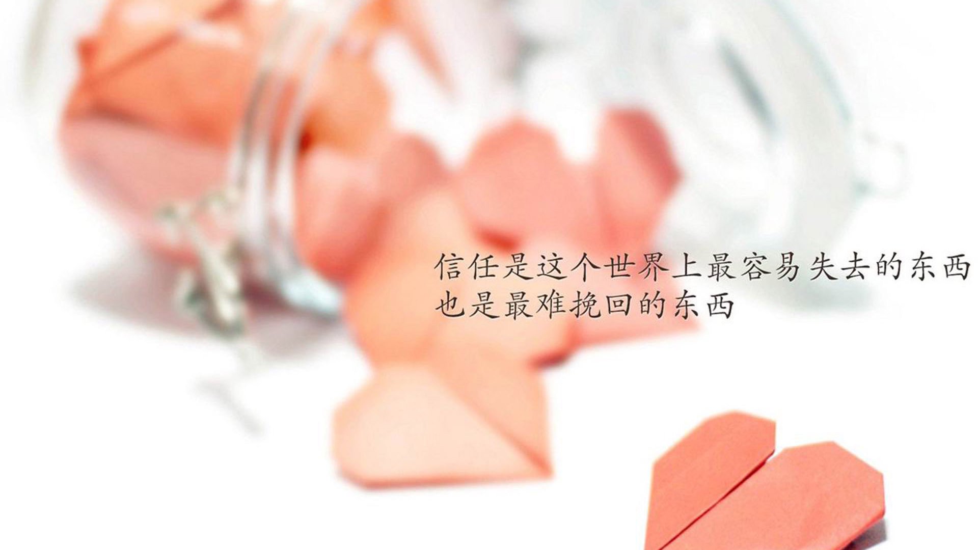 蓝武士狂想曲，当控球哲学遇上丁丁魔笛，2026世界杯D组的权力游戏