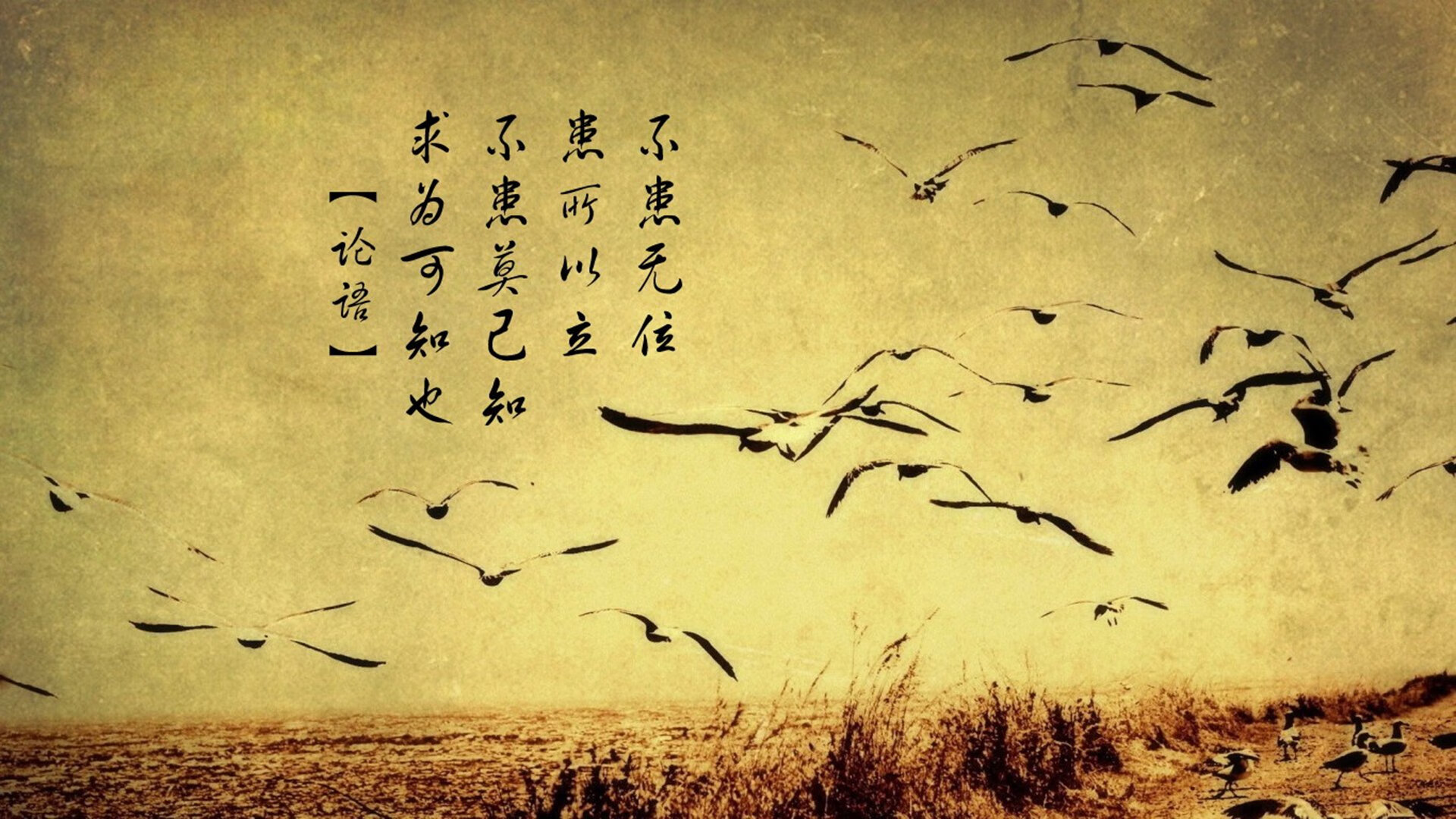 开云体育在线-逆转之光，费利克斯点燃沙漠奇迹，阿联酋击碎北欧神话