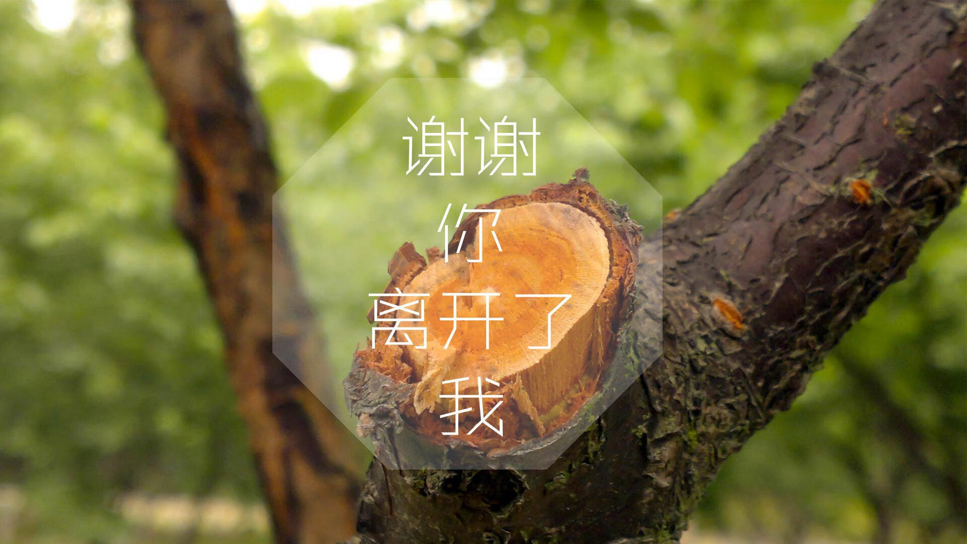 开云体育官网-沙漠铁骑碾过安第斯山脉，东亚风暴席卷绿茵长空—2026世界杯C组唯一日的破局之战